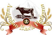 ブラックアンガス牛